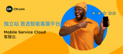 獨(dú)立站奔向海外的下半場，拼的究竟是什么？