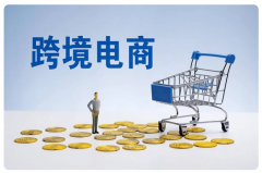 跨境電商獨立站的優(yōu)勢有哪些，新手如何入門？