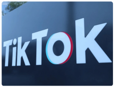 用TikTok為獨立站賦能，我們要如何布局呢？