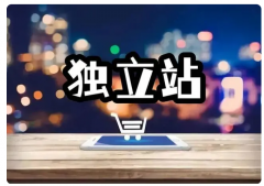 獨(dú)立站新手入門(mén)選品怎么選？這篇文章告訴你