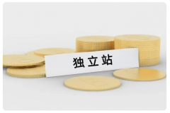 跨境電商新手小白要做獨立站？前景如何？