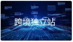 為什么跨境電商企業(yè)都偏向于選擇獨立站