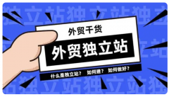 獨立站跨境電商現(xiàn)狀怎么樣?。磕軖赍X嗎