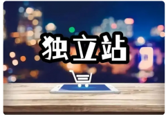 SaaS建站和傳統(tǒng)建站有什么區(qū)別？新手賣家該如何選擇？