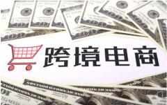 新手賣家必看！跨境獨(dú)立站的常見問題匯總
