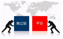 獨(dú)立站和跨境電商平臺的一個(gè)優(yōu)缺點(diǎn)對比，哪個(gè)更適合你？