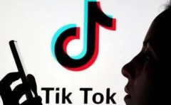 國內(nèi)賣家如何通過Tik Tok做跨境電商呢？
